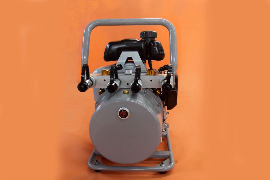 双接口双输液压机动泵